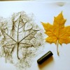 Як малювати листочки – Урок Трафаретної (Перебивної) техніки малювання